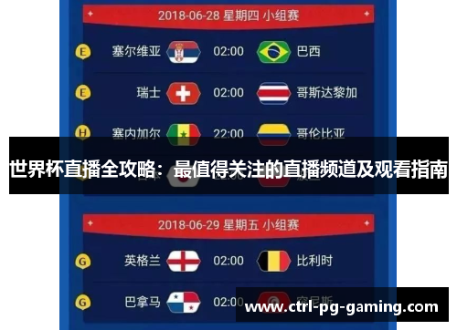 世界杯直播全攻略：最值得关注的直播频道及观看指南