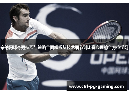 辛纳网球夺冠技巧与策略全面解析从技术细节到比赛心理的全方位学习
