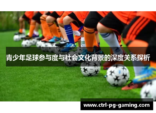青少年足球参与度与社会文化背景的深度关系探析