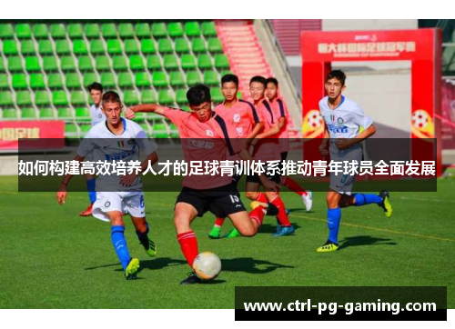 如何构建高效培养人才的足球青训体系推动青年球员全面发展